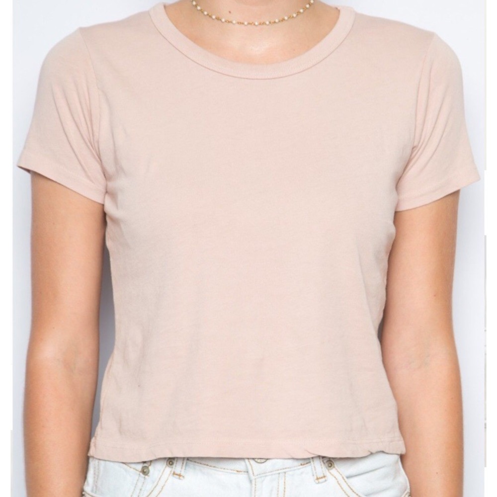 NWOT Brandy Melville Blush Short Sleeve Crop Tee